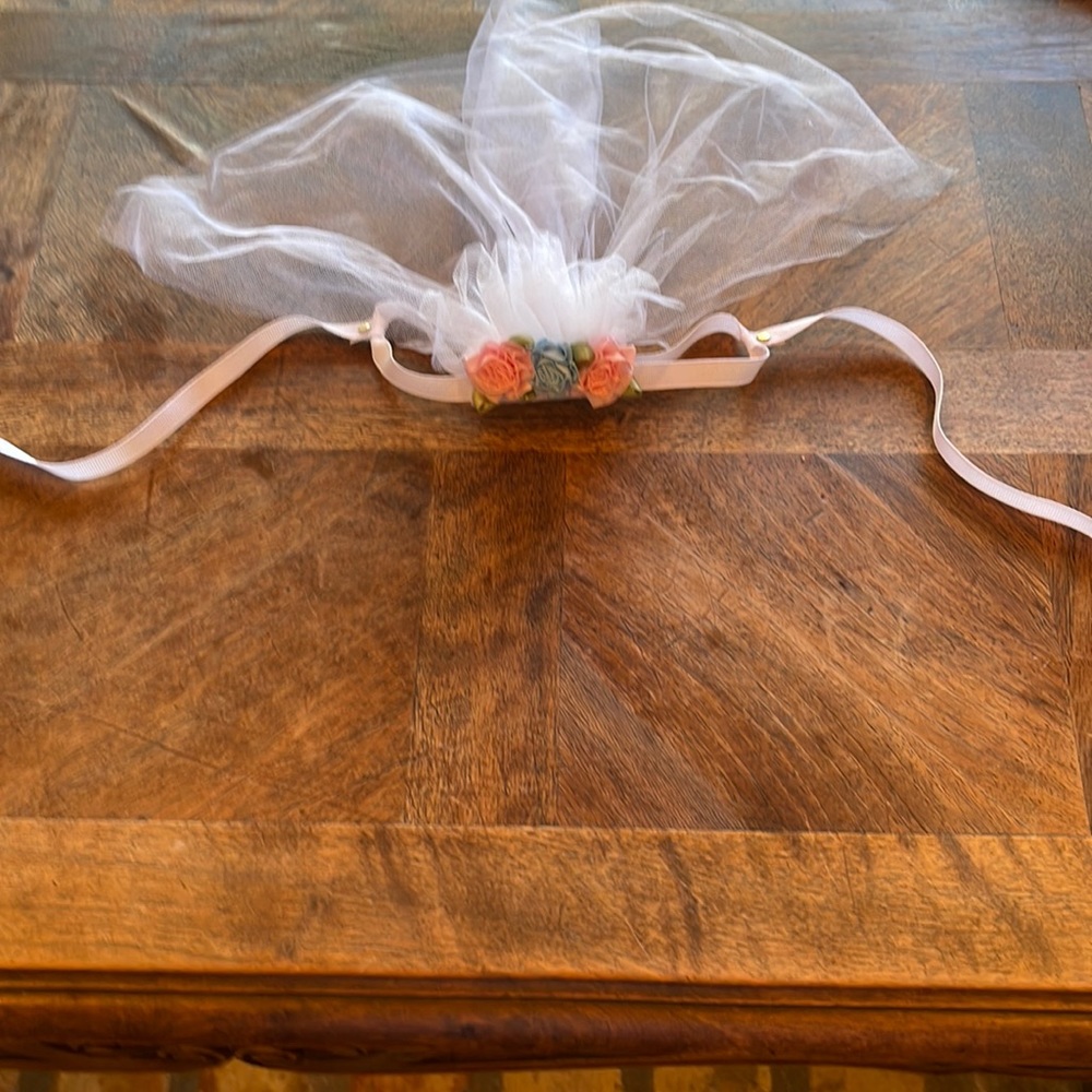 Dog bridal veil